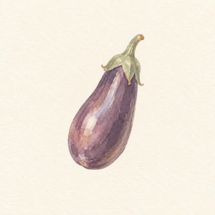 Akvarell av en aubergine
